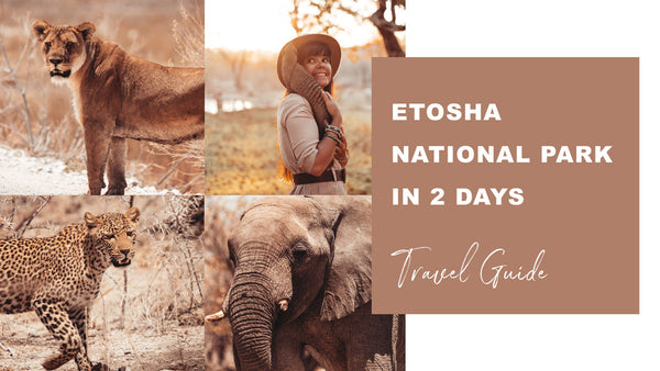 ETOSHA IN 2 DAYS