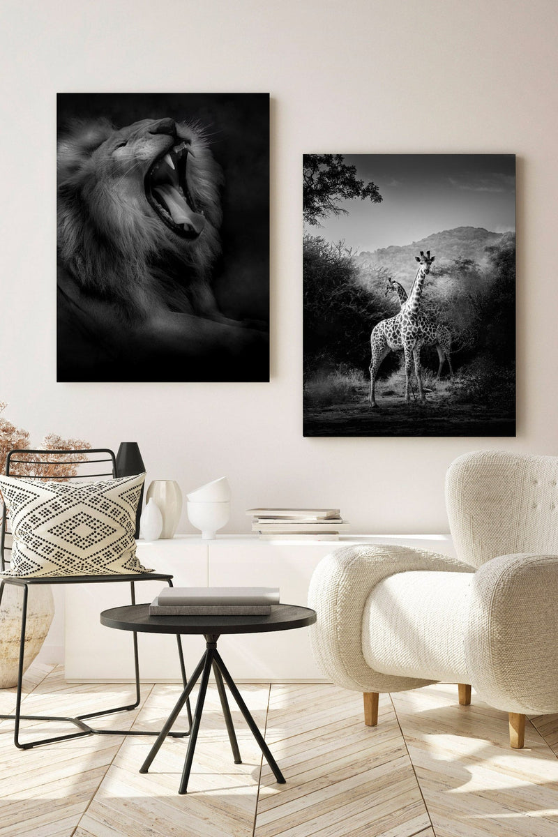 Lion's roar