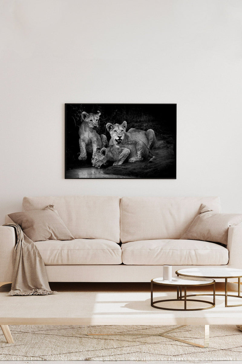 Lion cubs at twilight