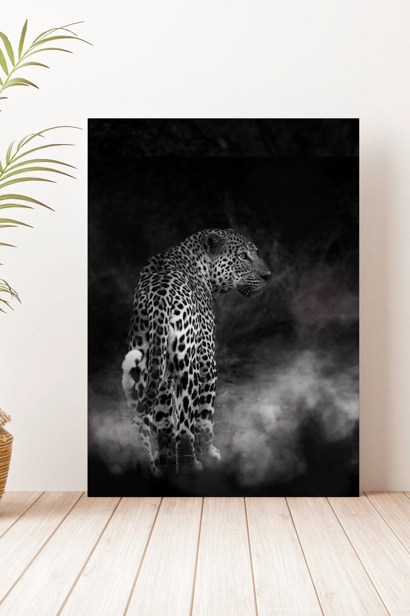 Elegance of the Leopard