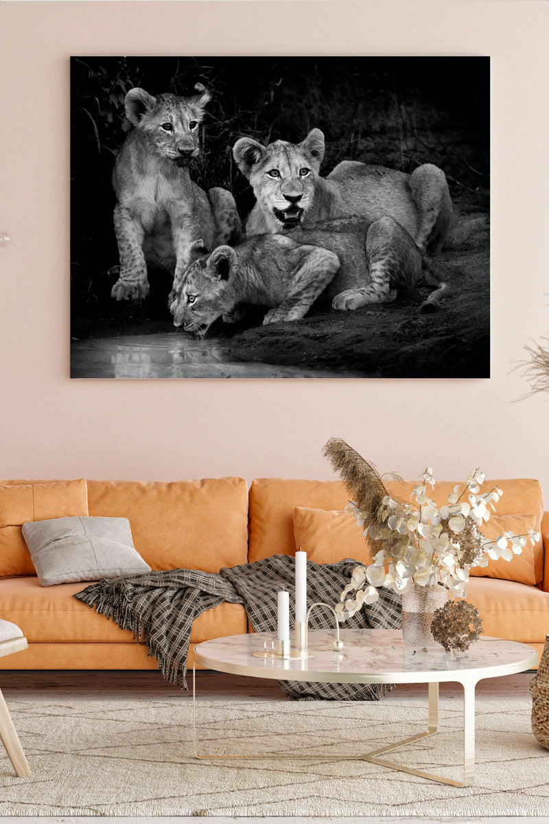 Lion cubs at twilight