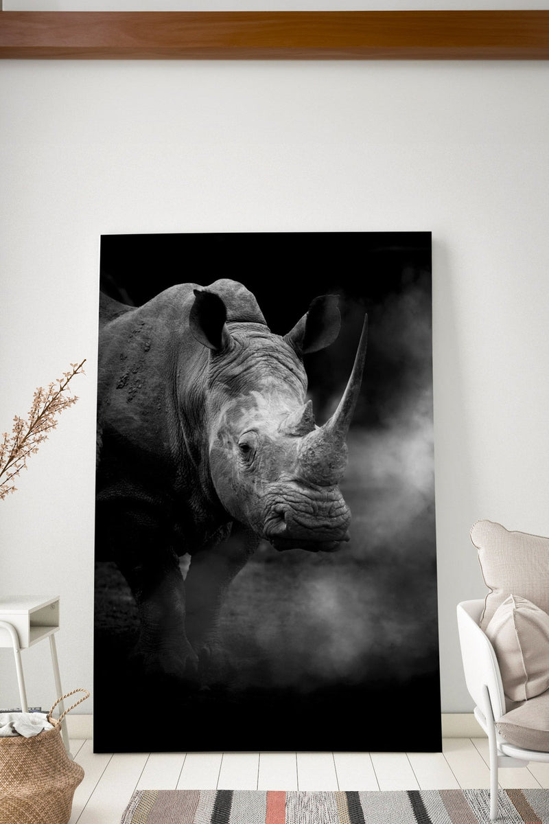 Rhino in the Wild
