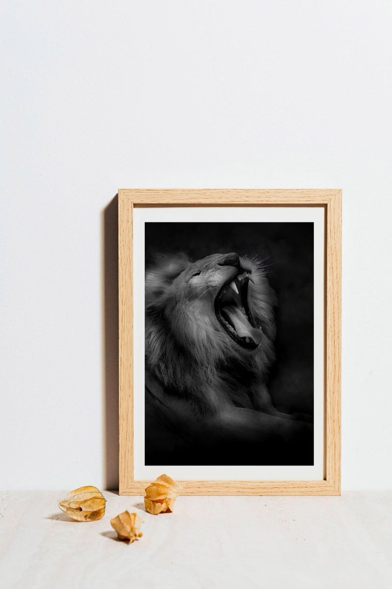 Lion's roar