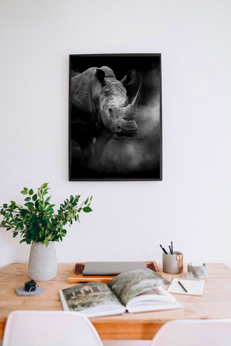 Rhino in the Wild