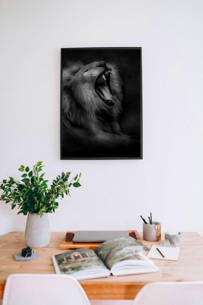 Lion's roar