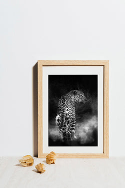 Elegance of the Leopard