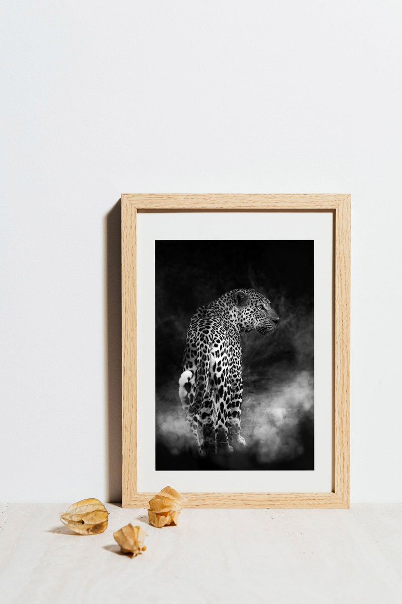 Elegance of the Leopard