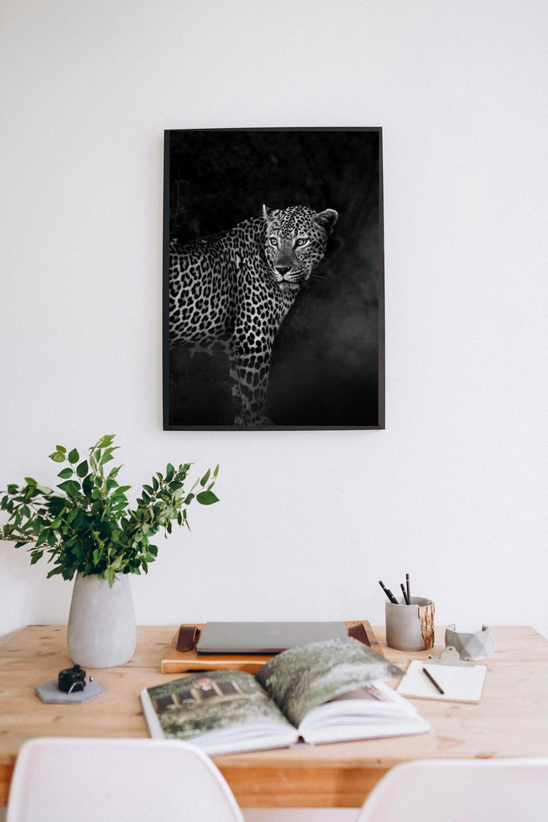 Leopard at Dusk